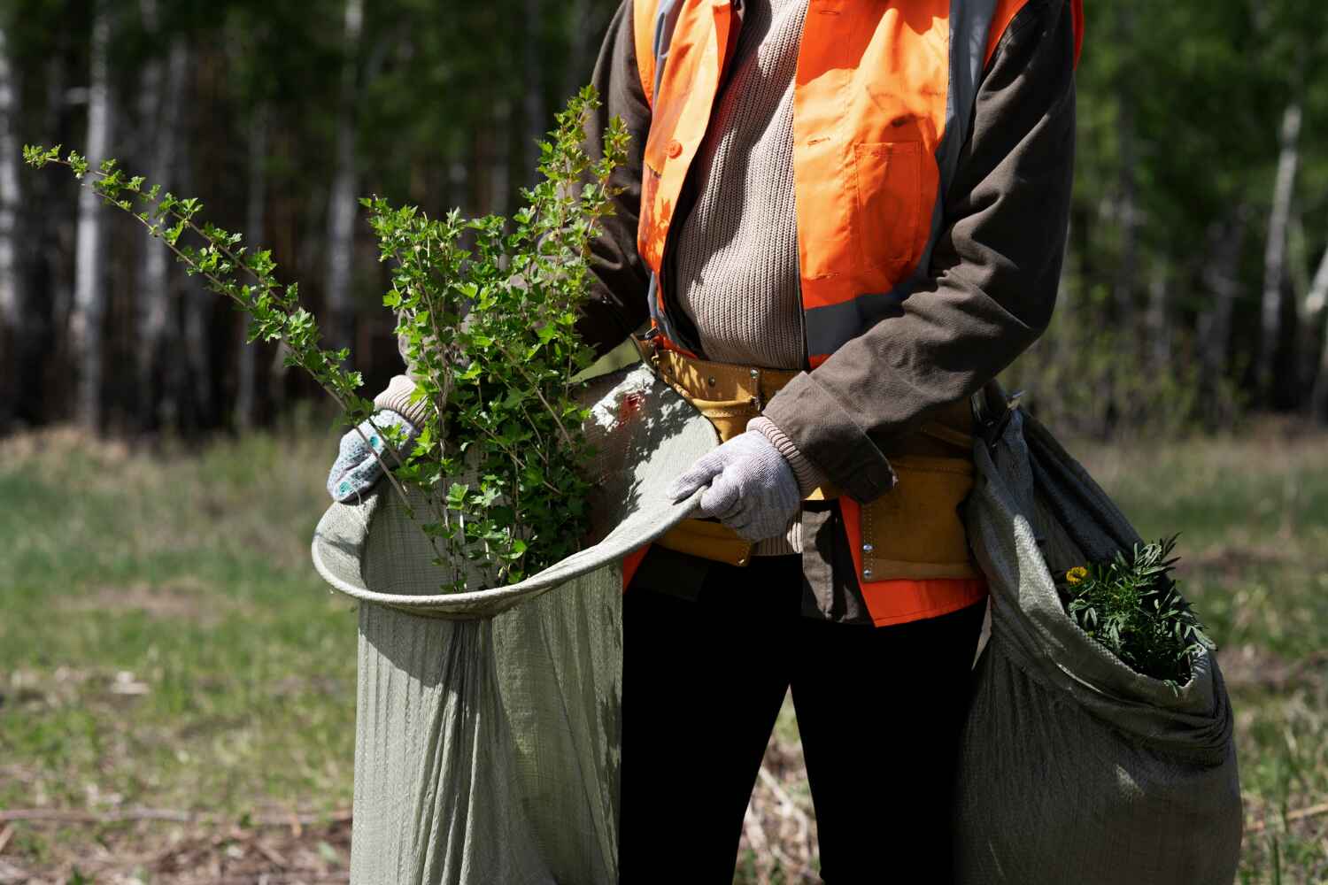 Best Stump Grinding Near Me  in Heritage Pines, FL